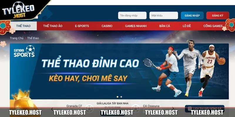 Khái quát về nhà cái Sin88